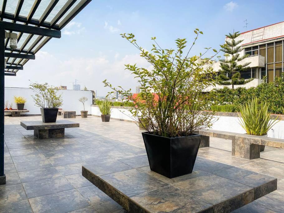Departamento En La Condesa Roma Ciudad De Mexico Apartment Exterior photo